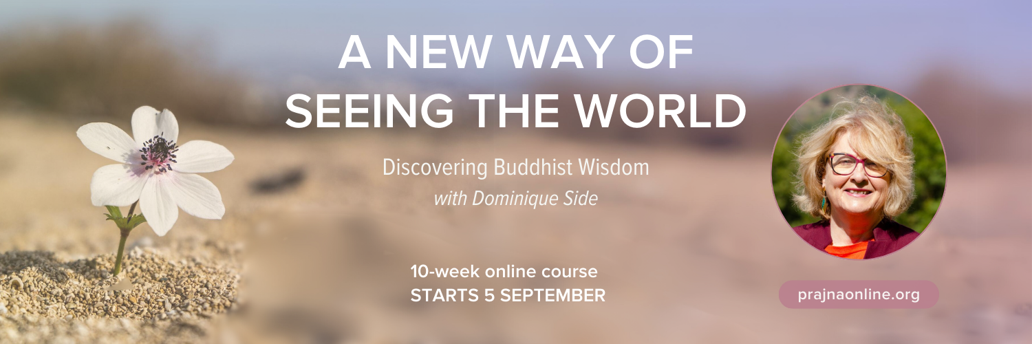 A New Way of Seeing the World - online course