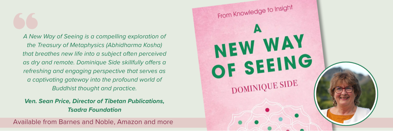 A+new+way+of+seeing_Dominique+Side_book+release+2025.png