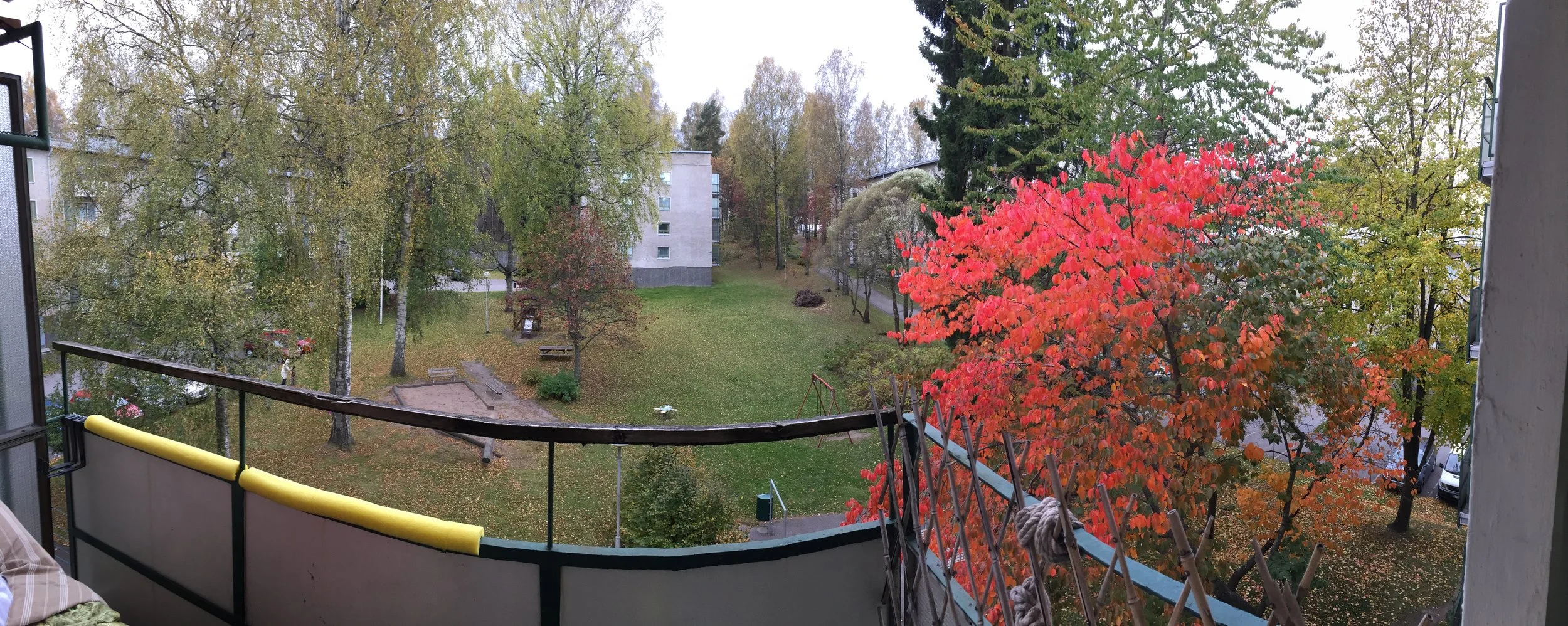 Bonus pic, early autumn panorama... note the pool noodles, which provide cushiony comfort for our feet when we recline on the couch. :)