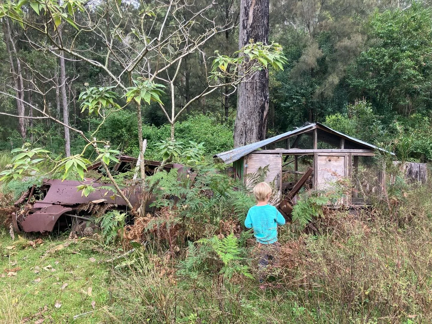 The exploded camper bus and abandoned chicken coop up the valley