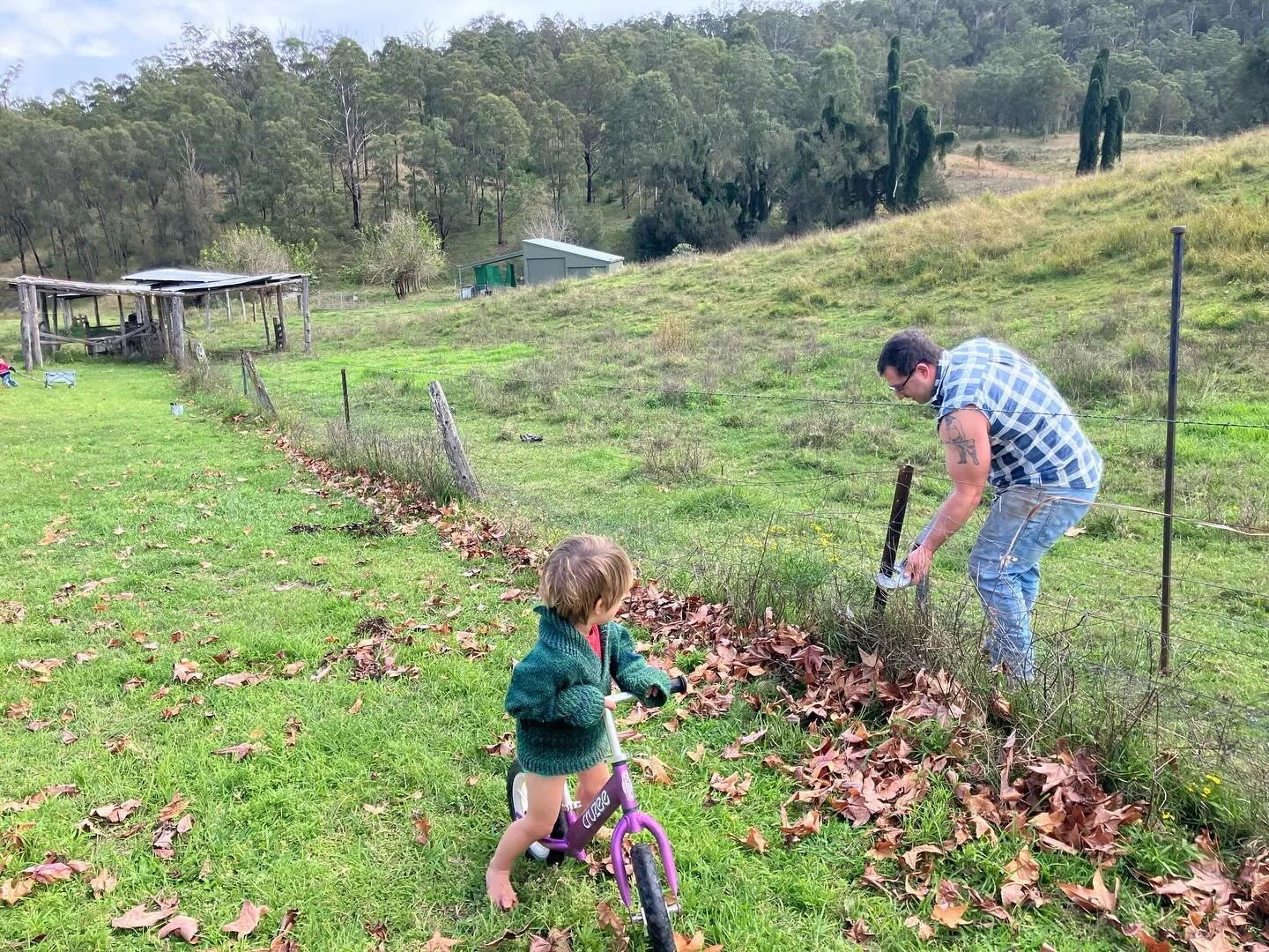Today our pal Joel came by and we fixed up some of the fences around the Big House.