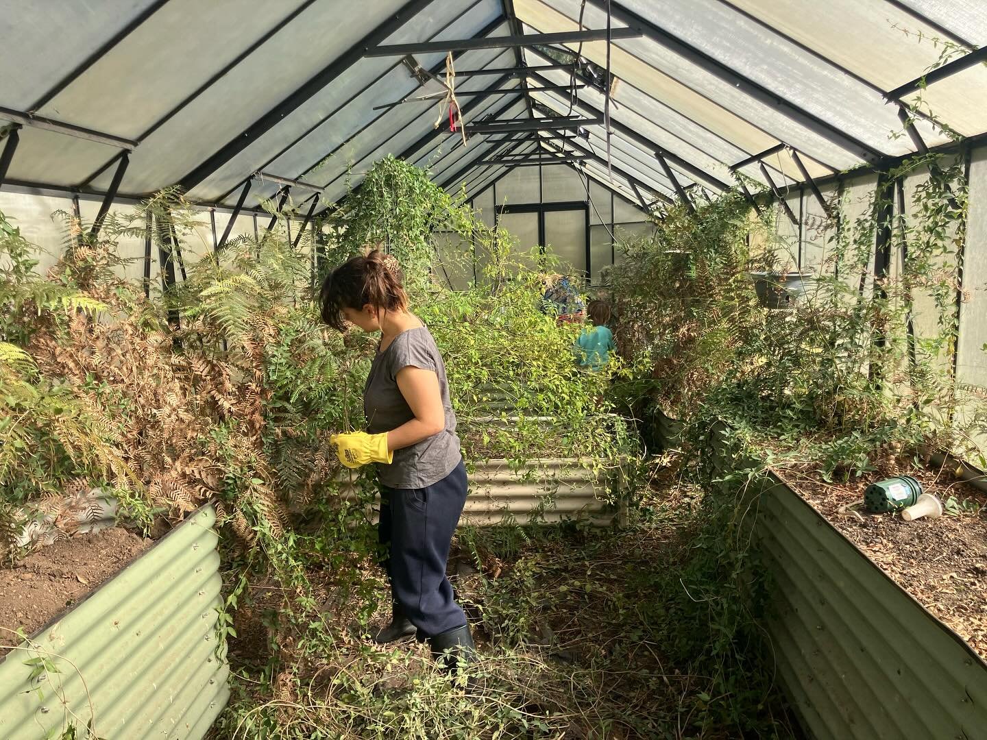 Today&rsquo;s project: clearing out the abandoned greenhouse. Sarah is now officially the boss of this space. 

Our noise interrupted the winter nap of a lovely python, but after a little grumbling it curled back up and continued its snooze. So cute!