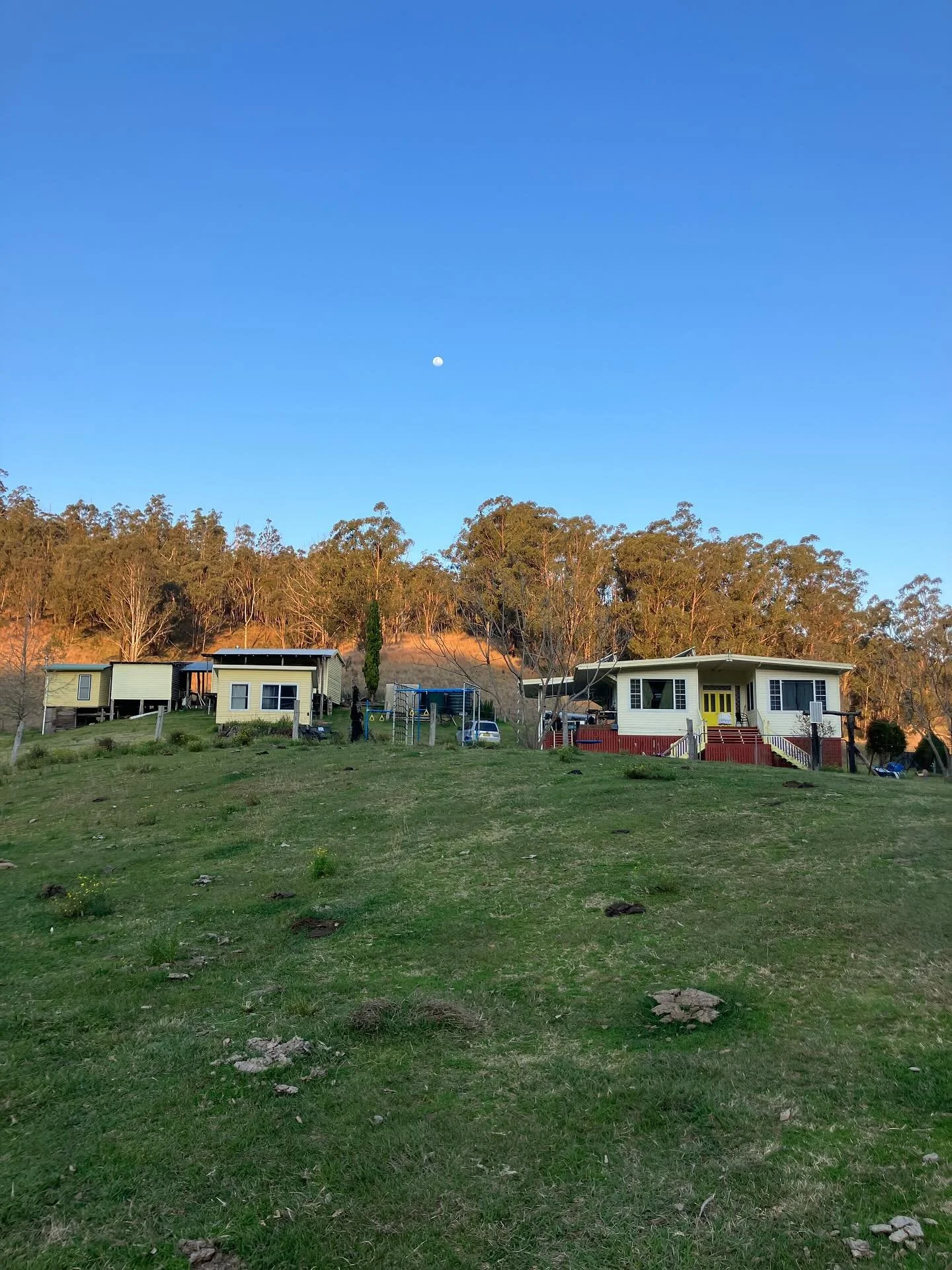 Give me a home among the gum trees 🎶 
with lots of cuppa teas
a cow poo or two 
and a wallabyroo
a peacock round the back 
a dingo round the front
and pothooooles on the road 🎵 

(with apologies to the real song