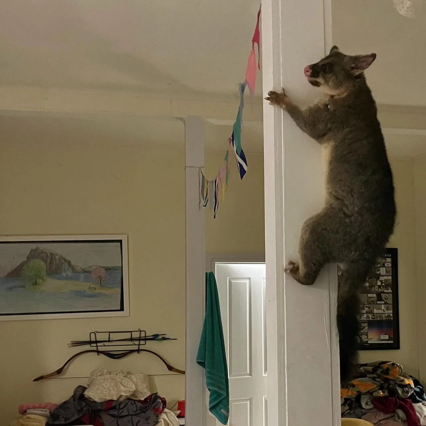 Lil Jimmy came for an inside visit last night