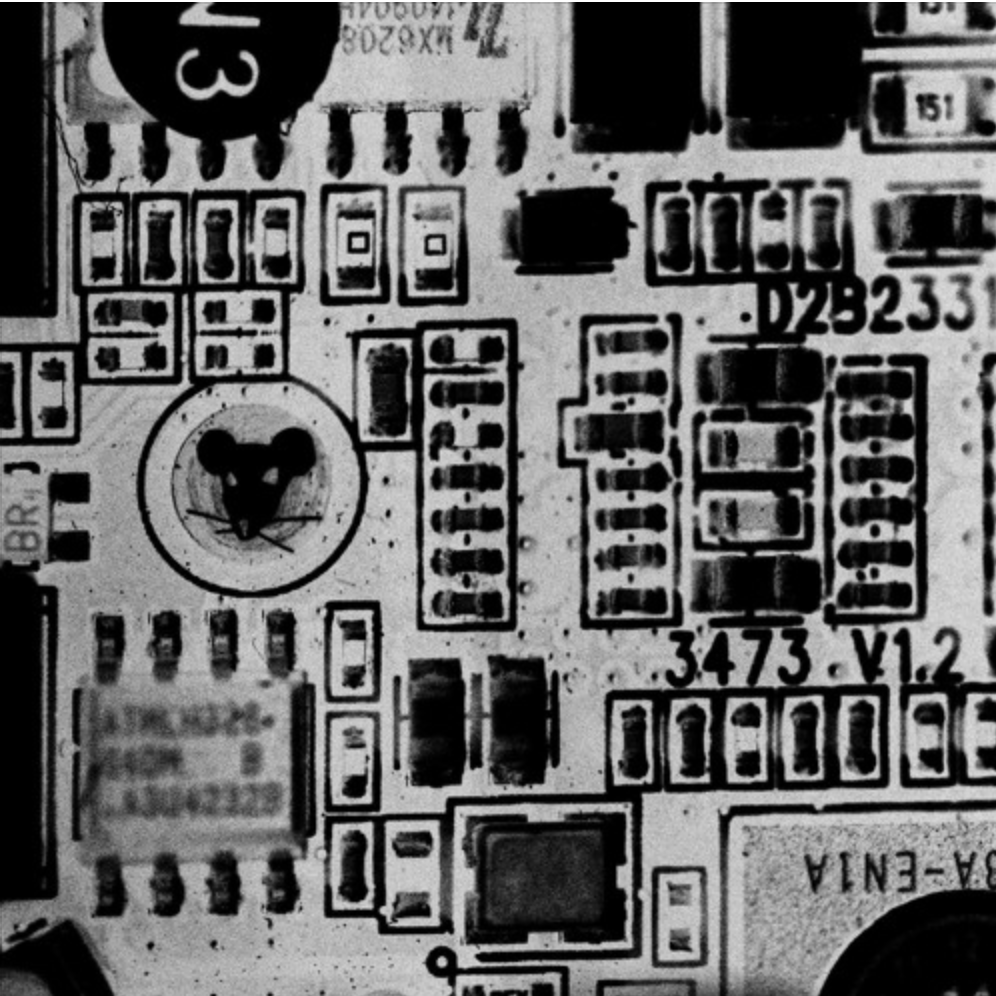 Tobacco Rat - Component EP 