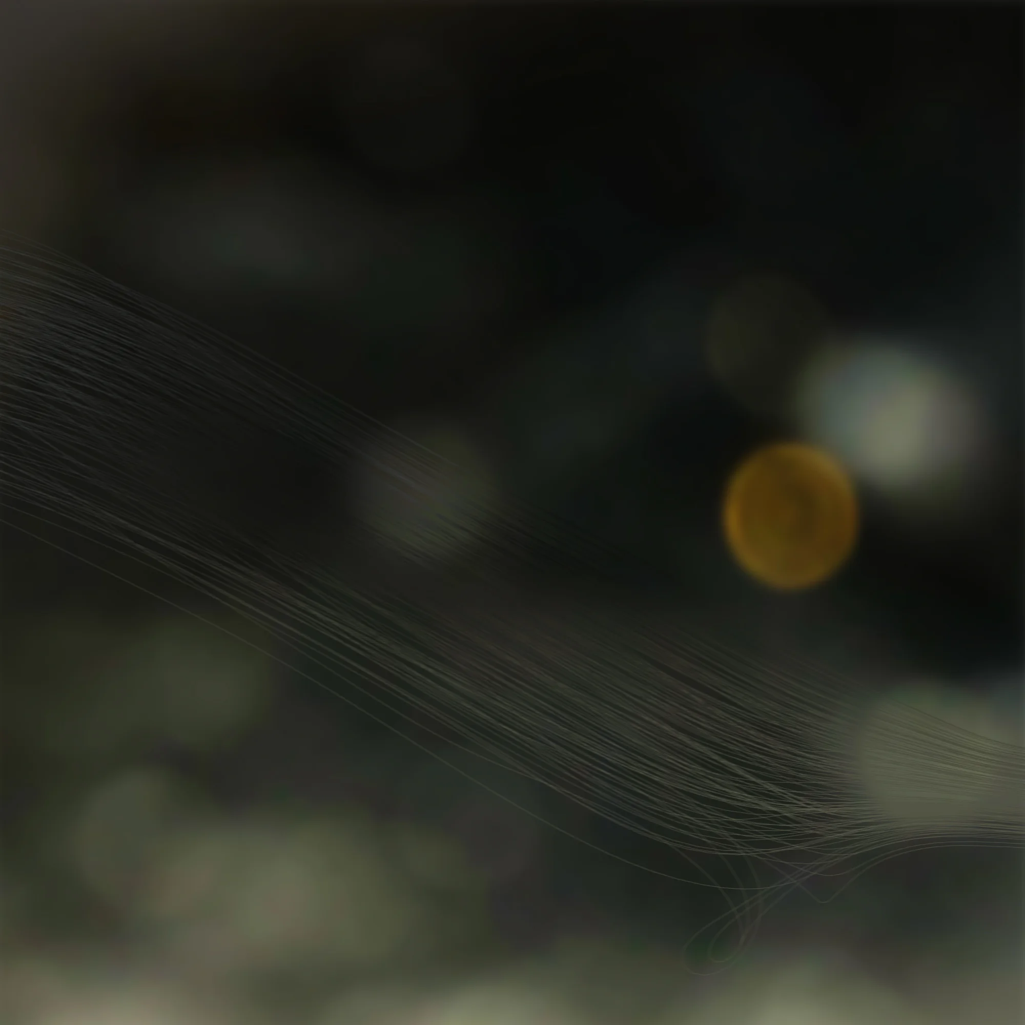 Pat Carroll - Conditions EP