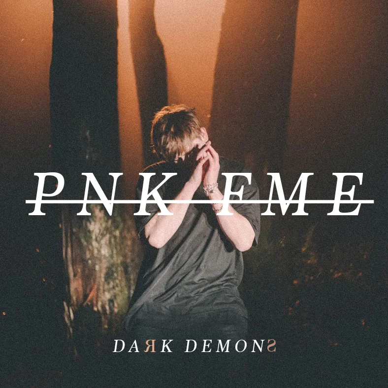 PNK FME - Dark Demons