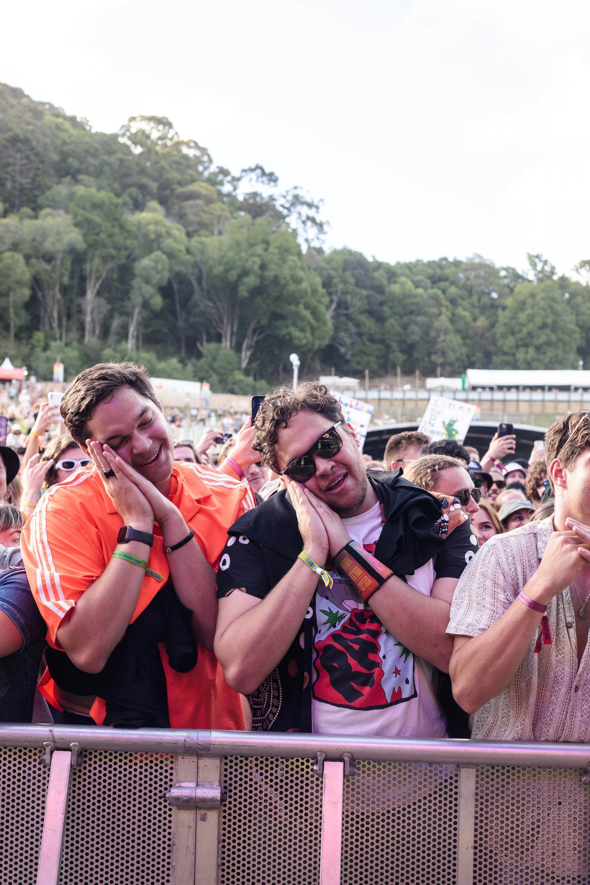 the-wiggles-37.jpg