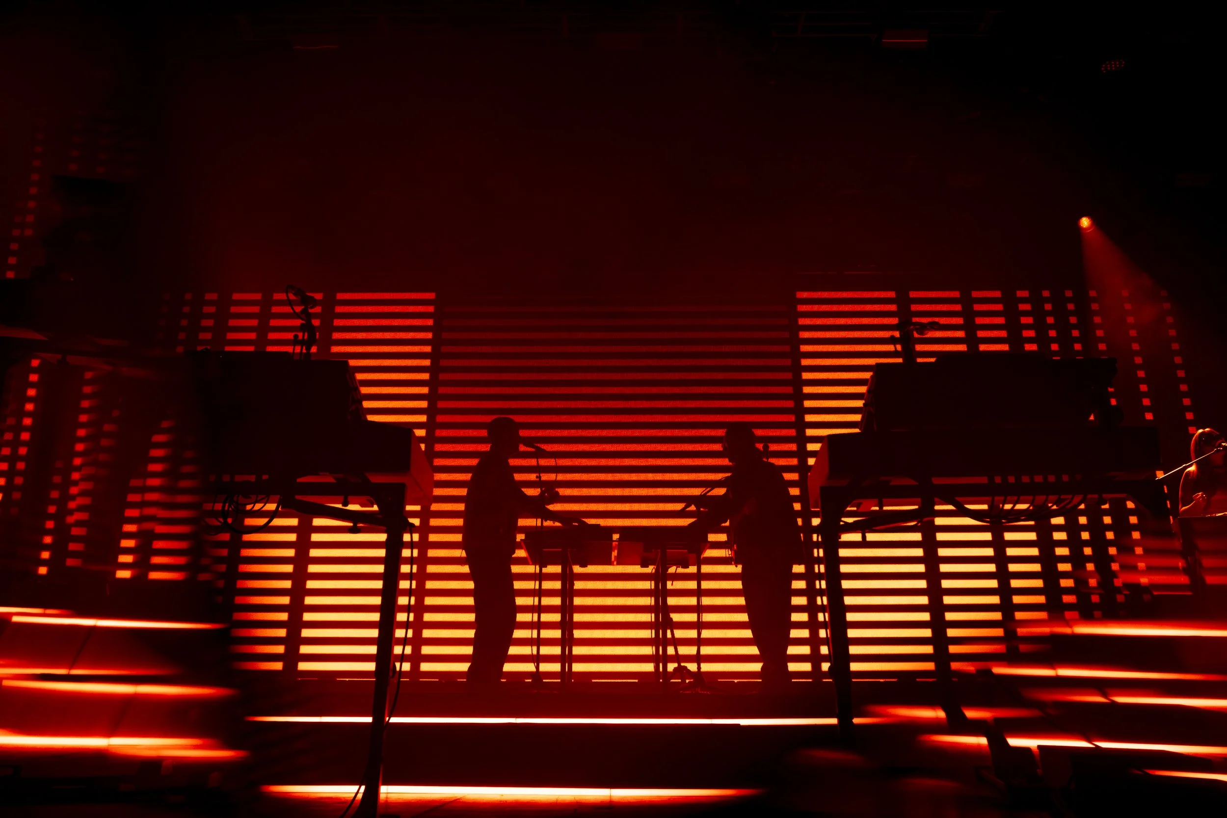 Jungle - FutureMag Music - mathew baldwin - 1.jpg