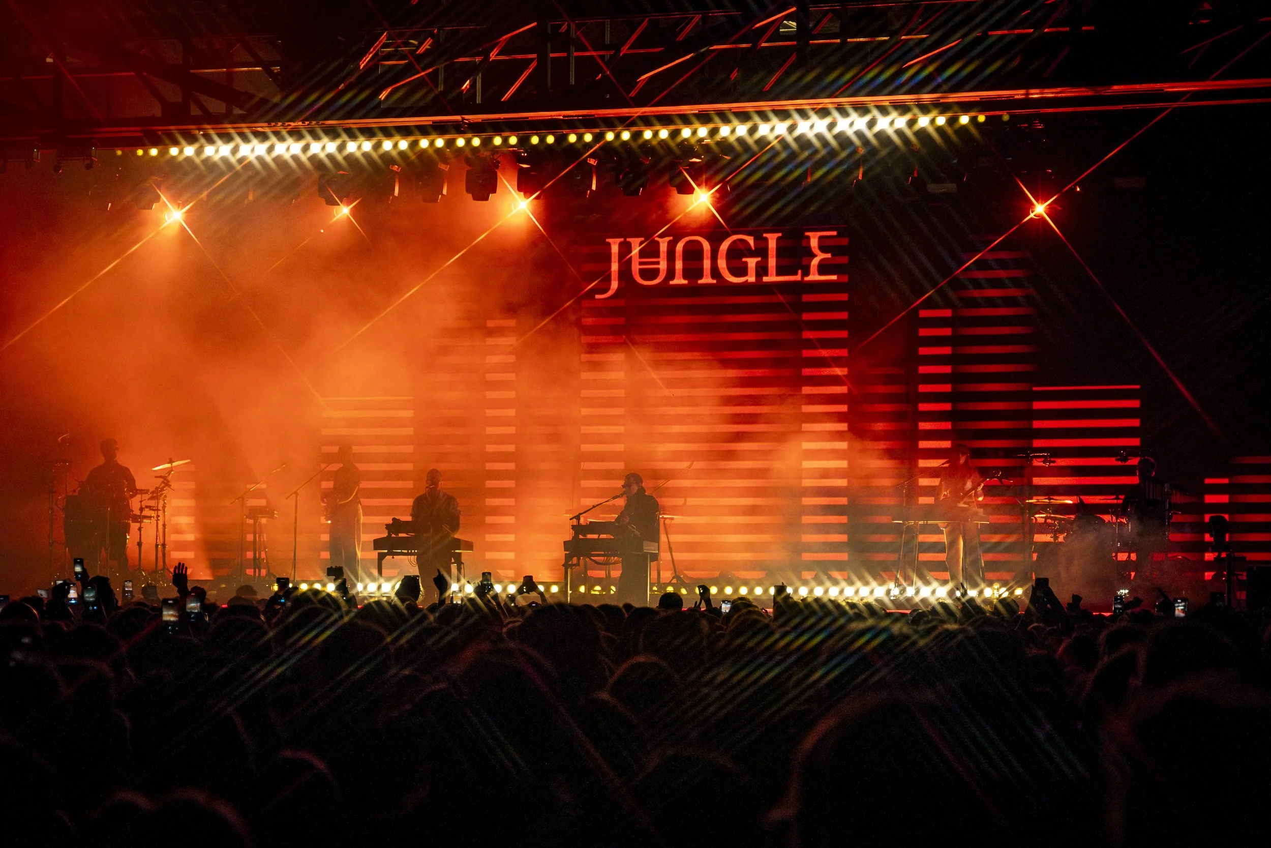 Jungle - FutureMag Music - mathew baldwin - 6.jpg