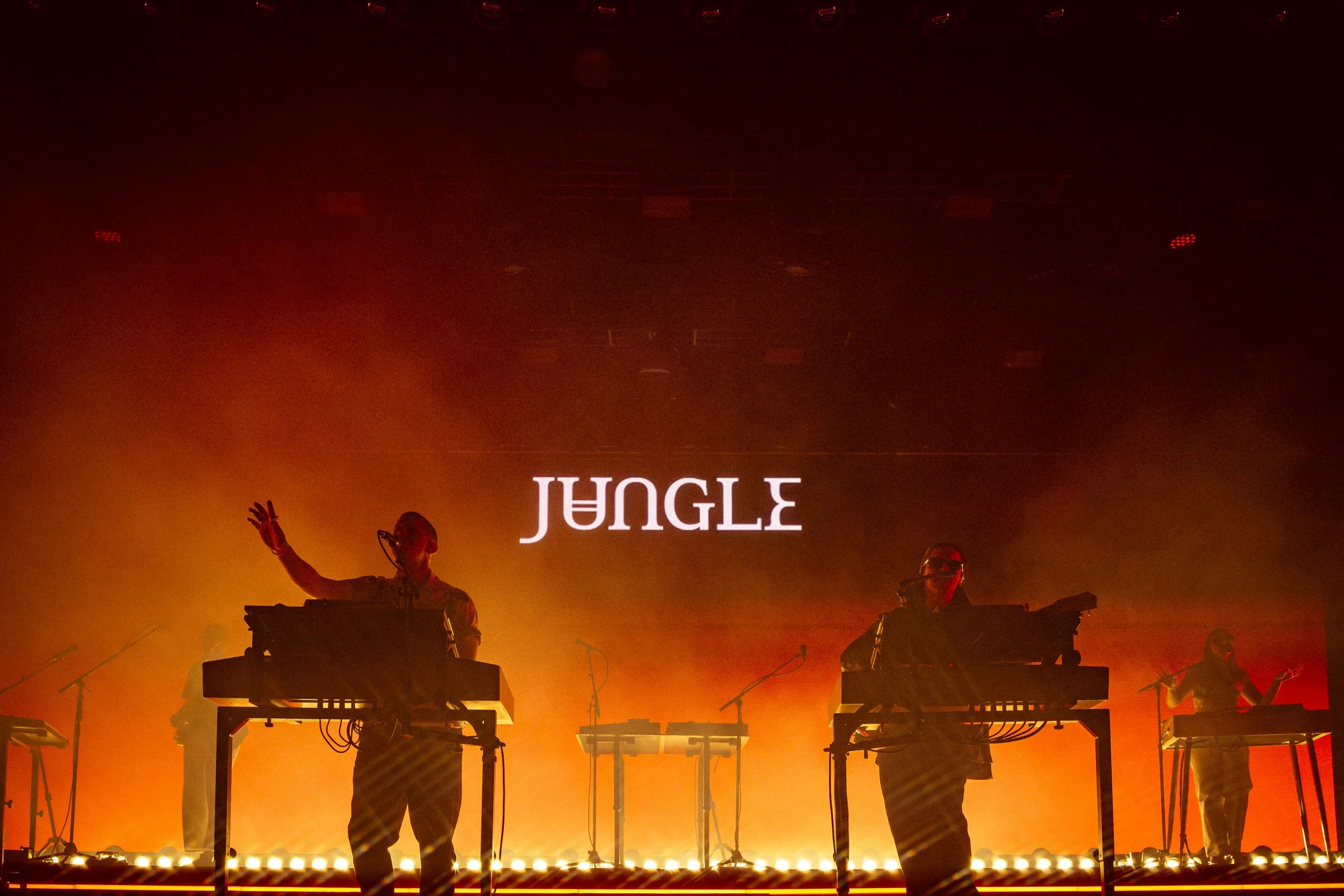 Jungle - FutureMag Music - mathew baldwin - 10.jpg