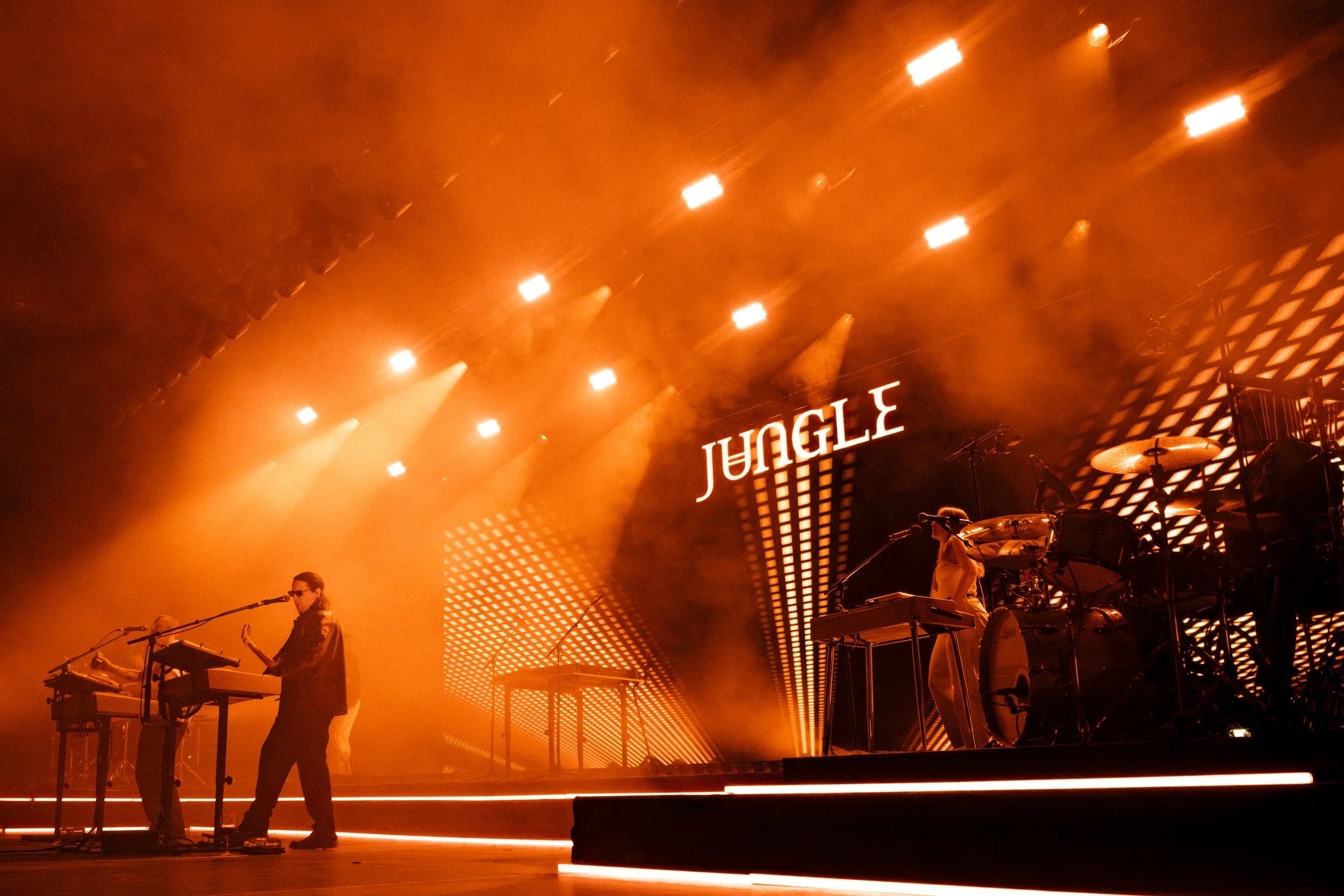 Jungle - FutureMag Music - mathew baldwin - 21.jpg