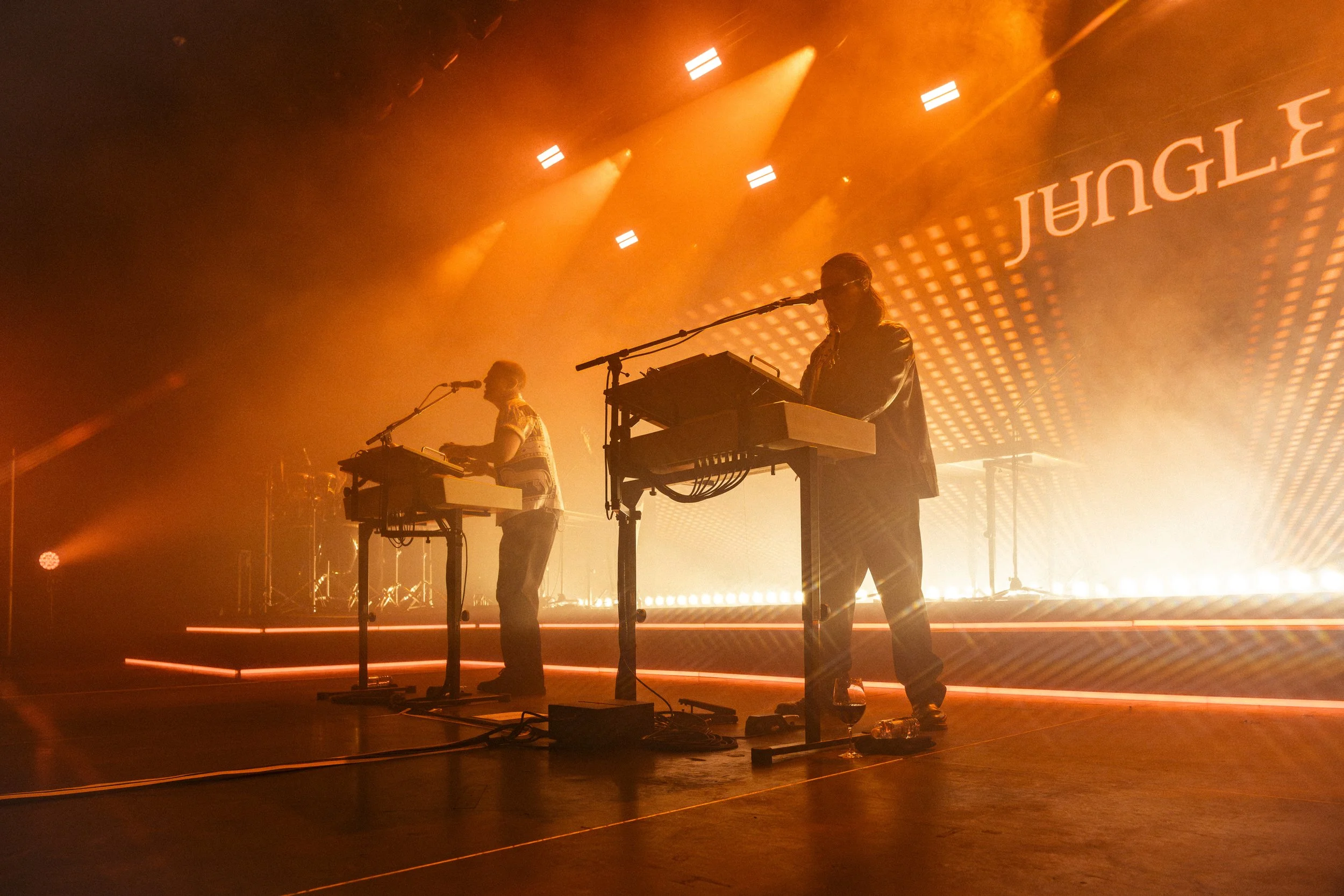 Jungle - FutureMag Music - mathew baldwin - 22.jpg