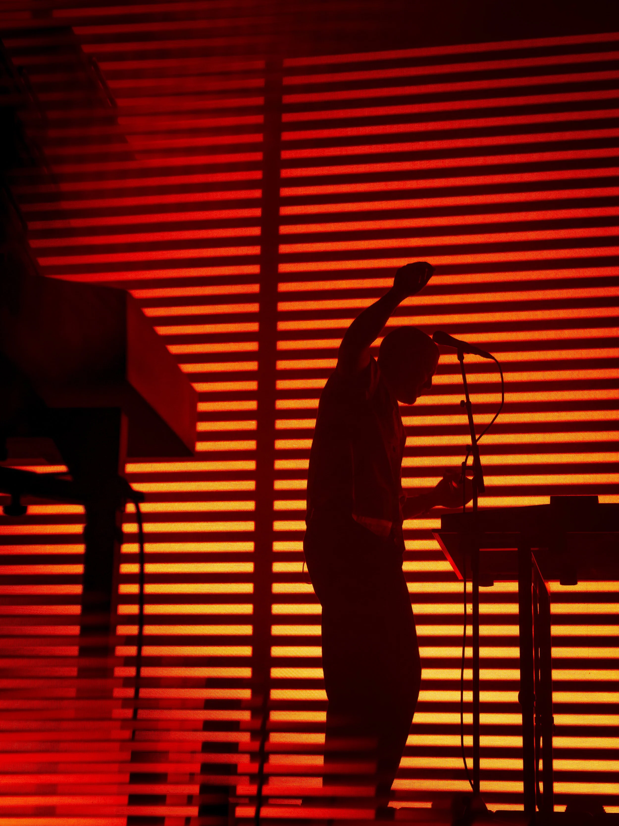 Jungle - FutureMag Music - mathew baldwin - 25.jpg