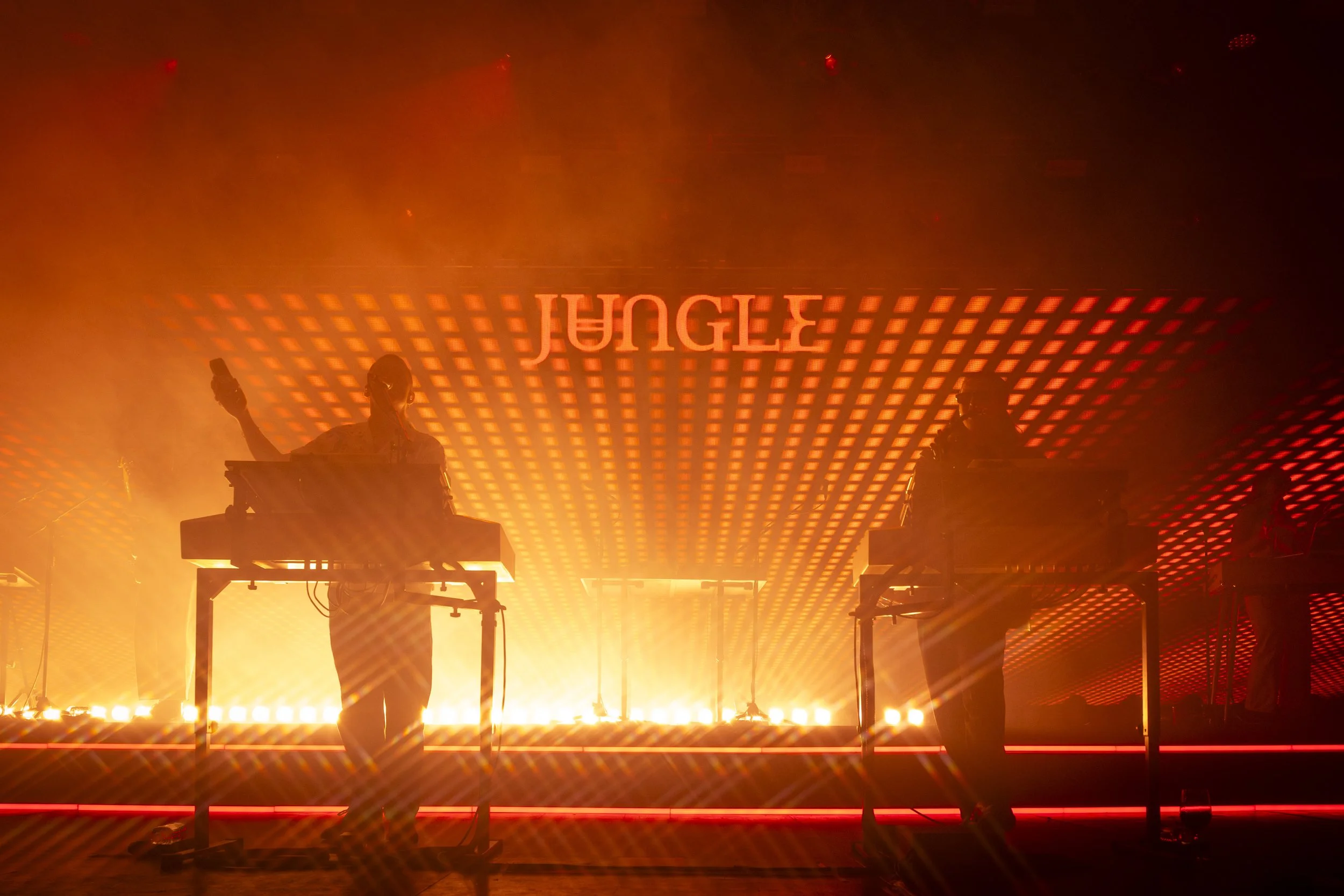 Jungle - FutureMag Music - mathew baldwin - 26.jpg