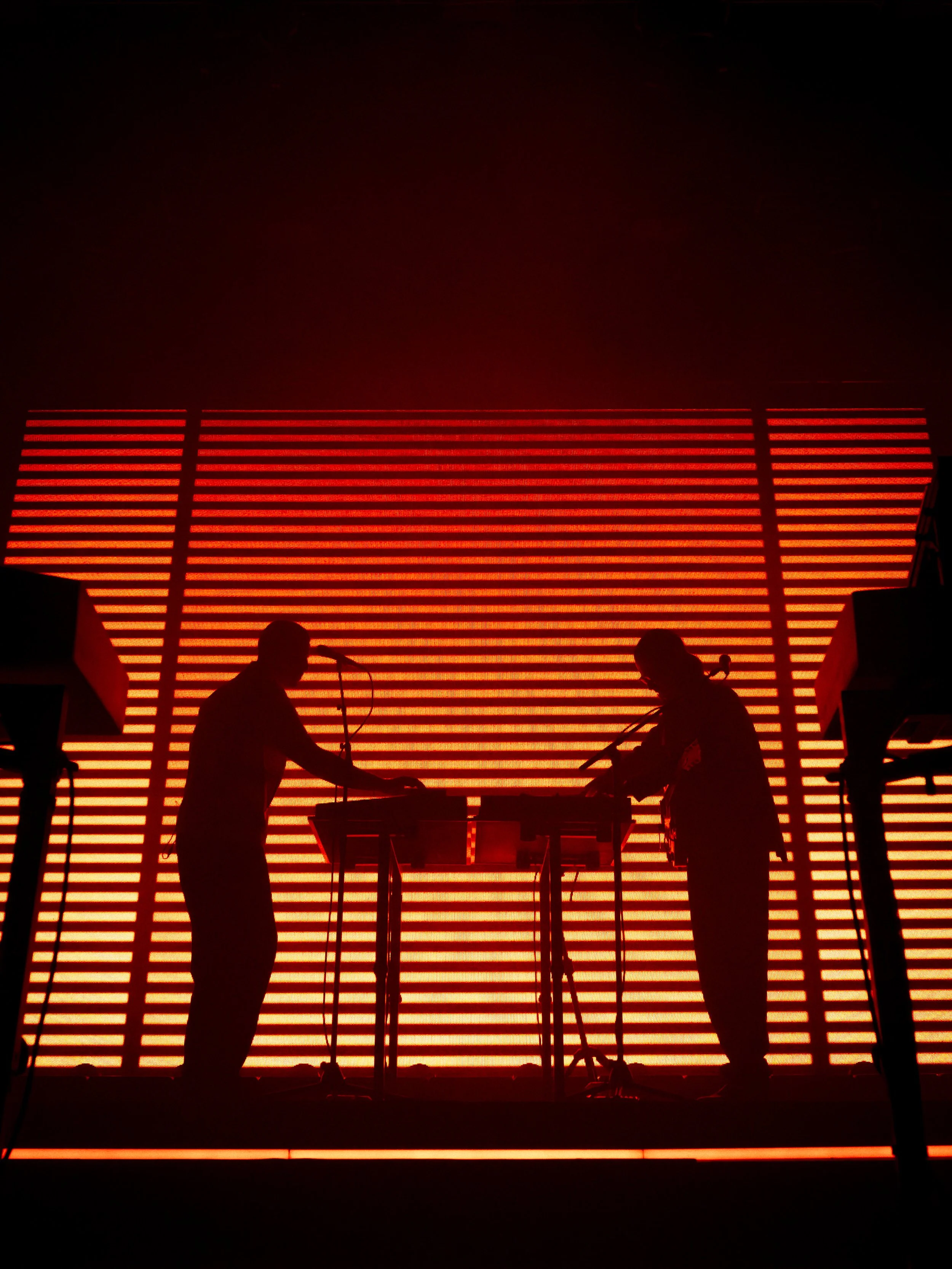 Jungle - FutureMag Music - mathew baldwin - 27.jpg