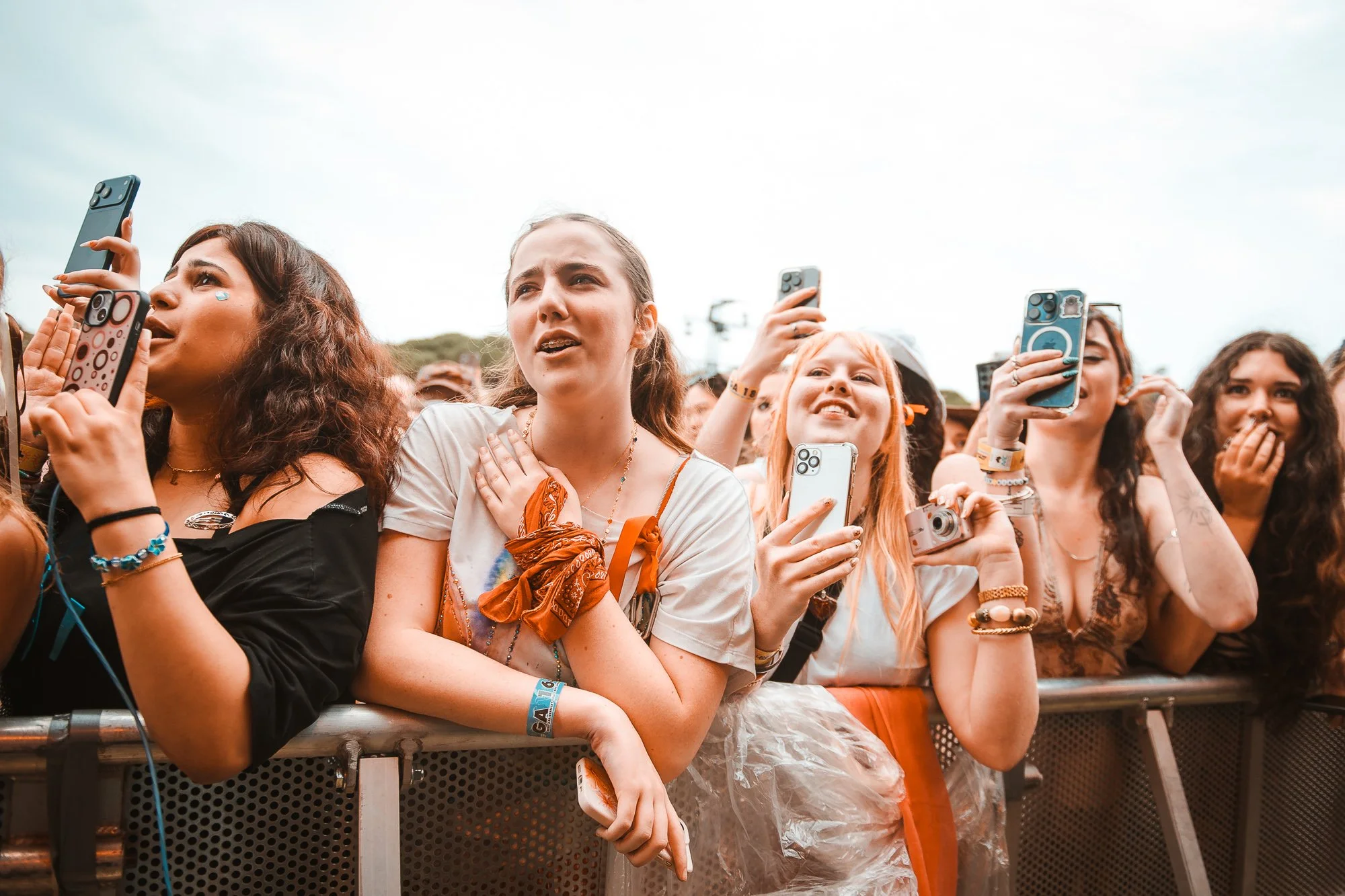 Role Model @ Laneway Festival Matthew Waddingham5 (1).jpg