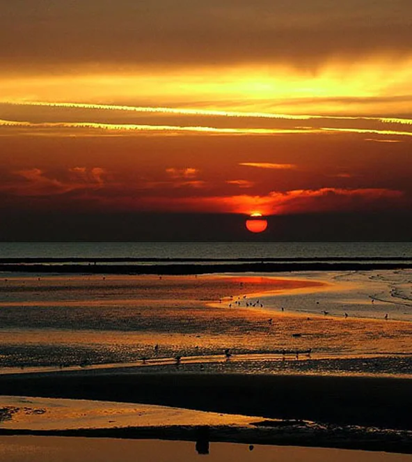 sunset.jpg