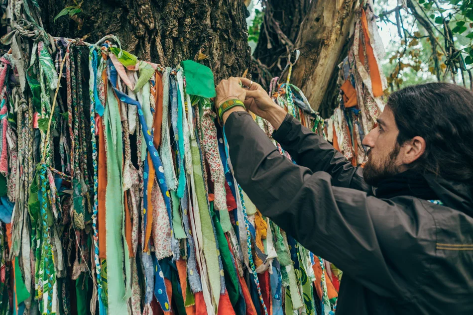 Emre puts ribbons on the holy tree. Each ribbon has a wish. 