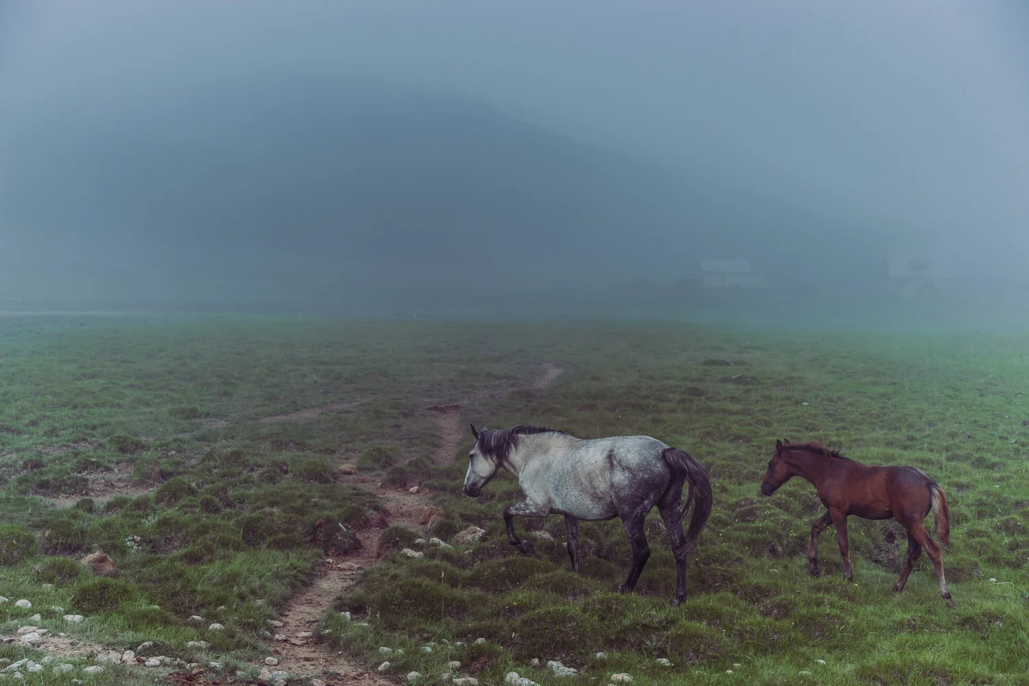 Yuriy_Ogarkov-Travel_08.JPG