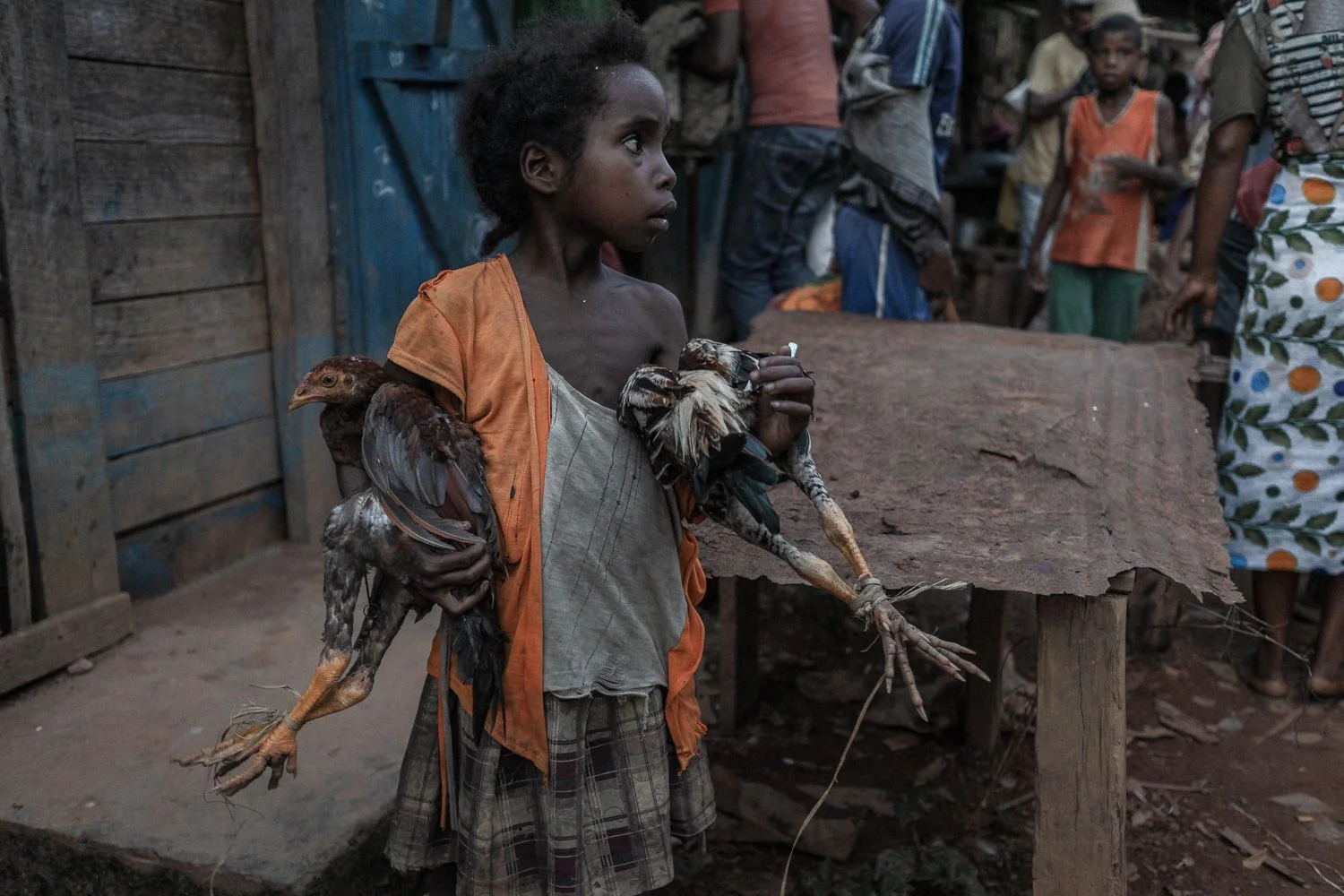 Madagascar Photo by Yuriy Ogarkov - Copyrighted-030.JPG
