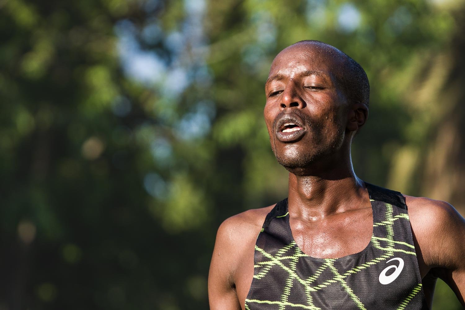 Asics Meta Time Trials Malaga Marathon - 22.jpg