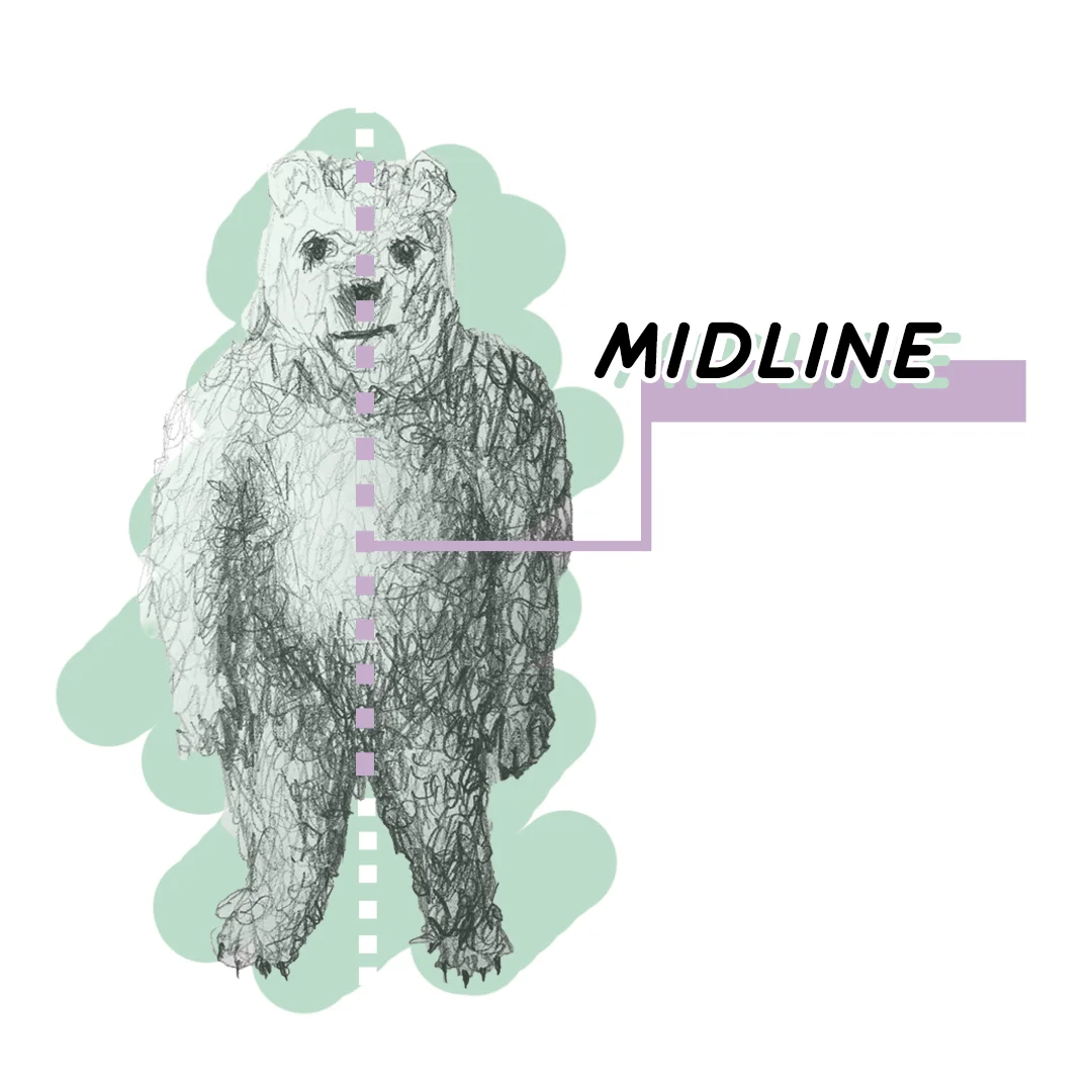 bear mid.jpg