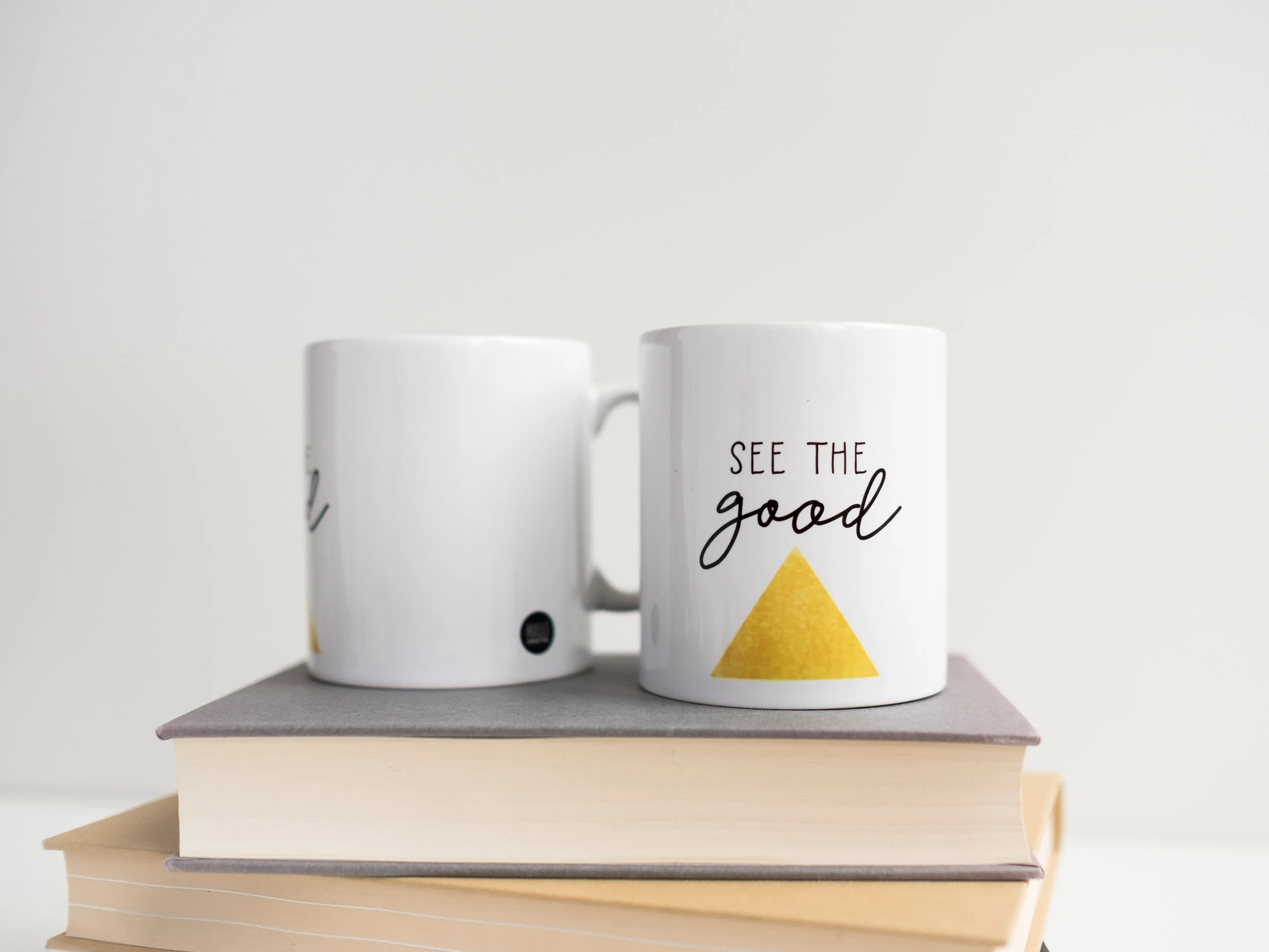 Mugs- DSCF0187.jpg