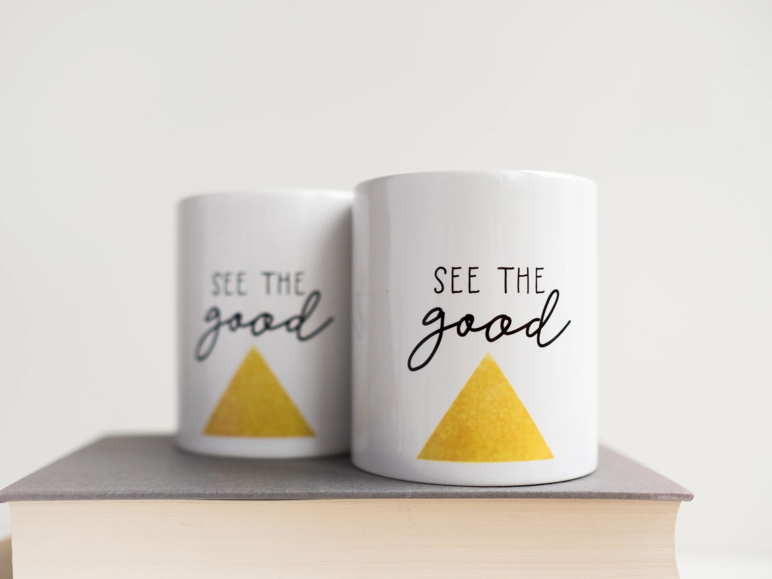 Mugs- DSCF0193.jpg