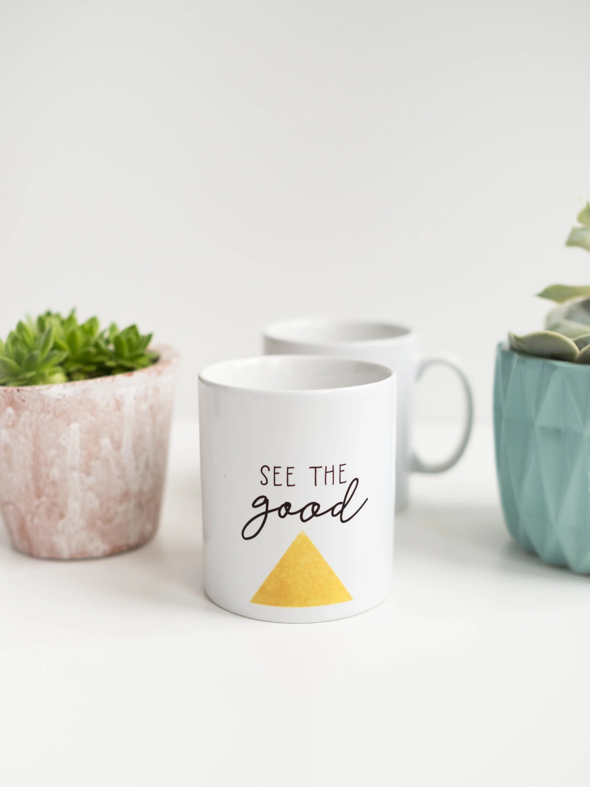 Mugs- DSCF0208.jpg