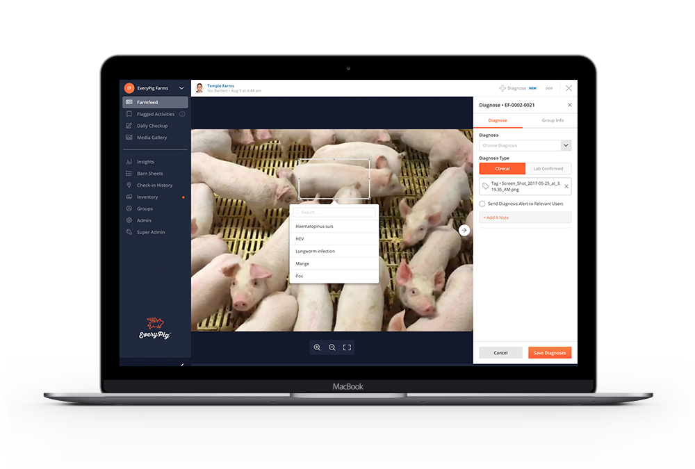 EveryPig® Diagnosis Image Tagging