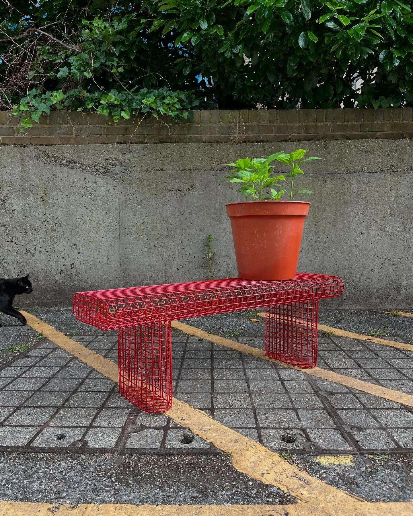 Fresh Gabion Bench for @swimmerhairsalon