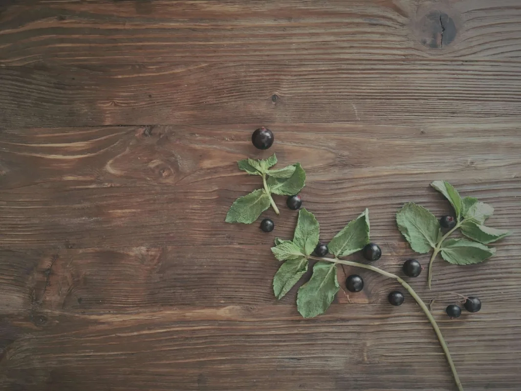 Как приготовить раствор для состаривания дерева в домашних условиях