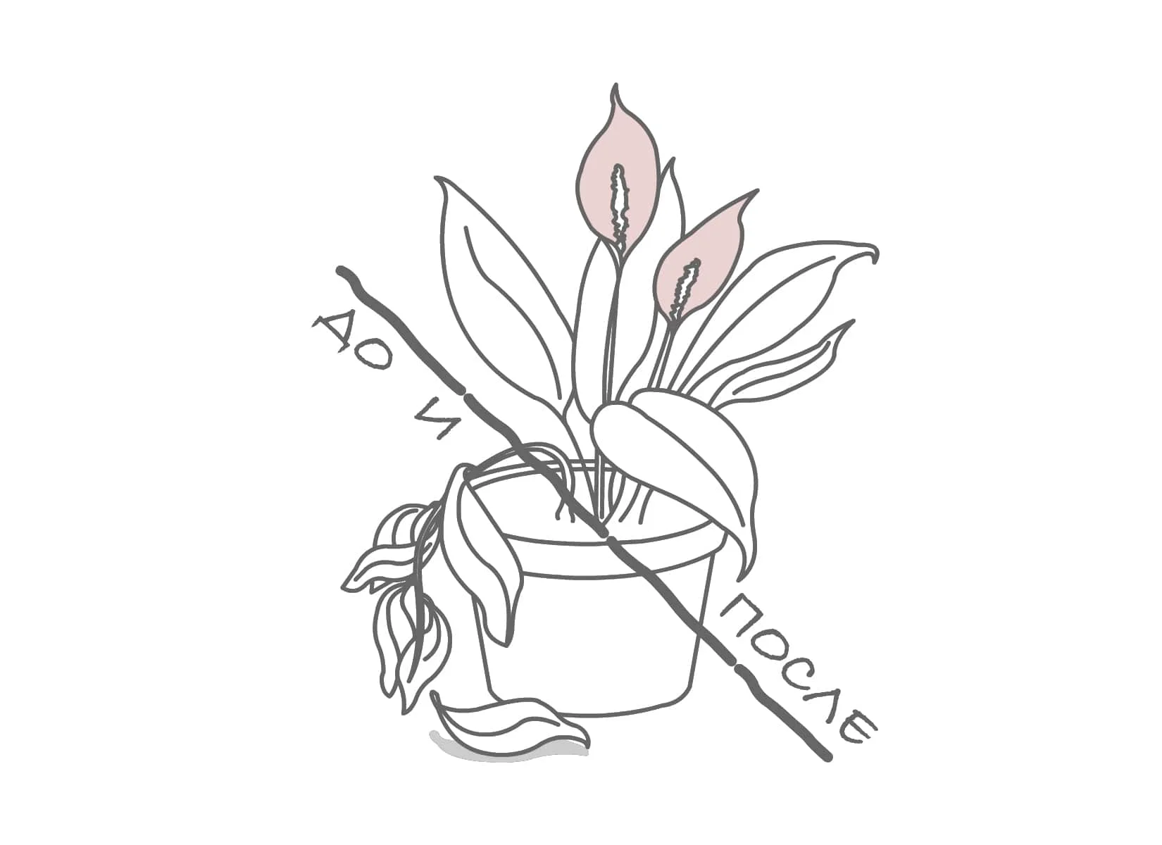 Дневник ремонта - 7 вечеров после работы