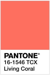 цвет-2019-года-по-версии-Pantone-живой-коралл-min.jpg