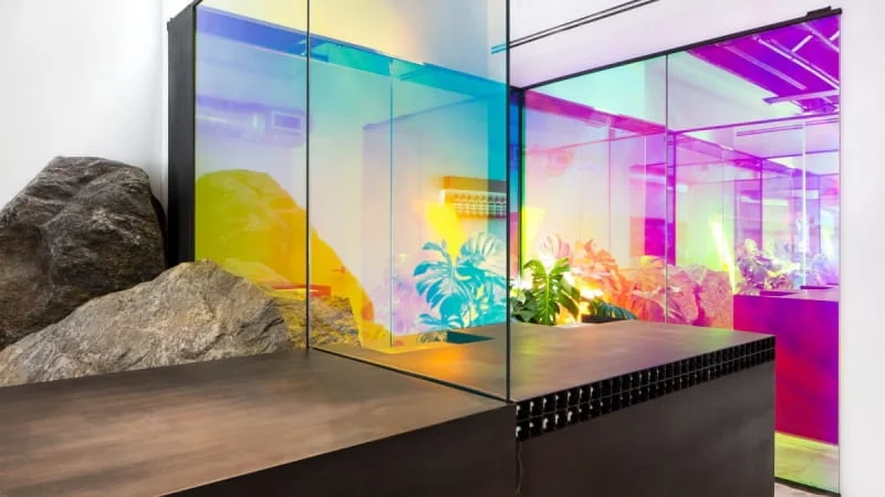 Голограмма, хамелеон и перламутр - радужный тренд в интерьере