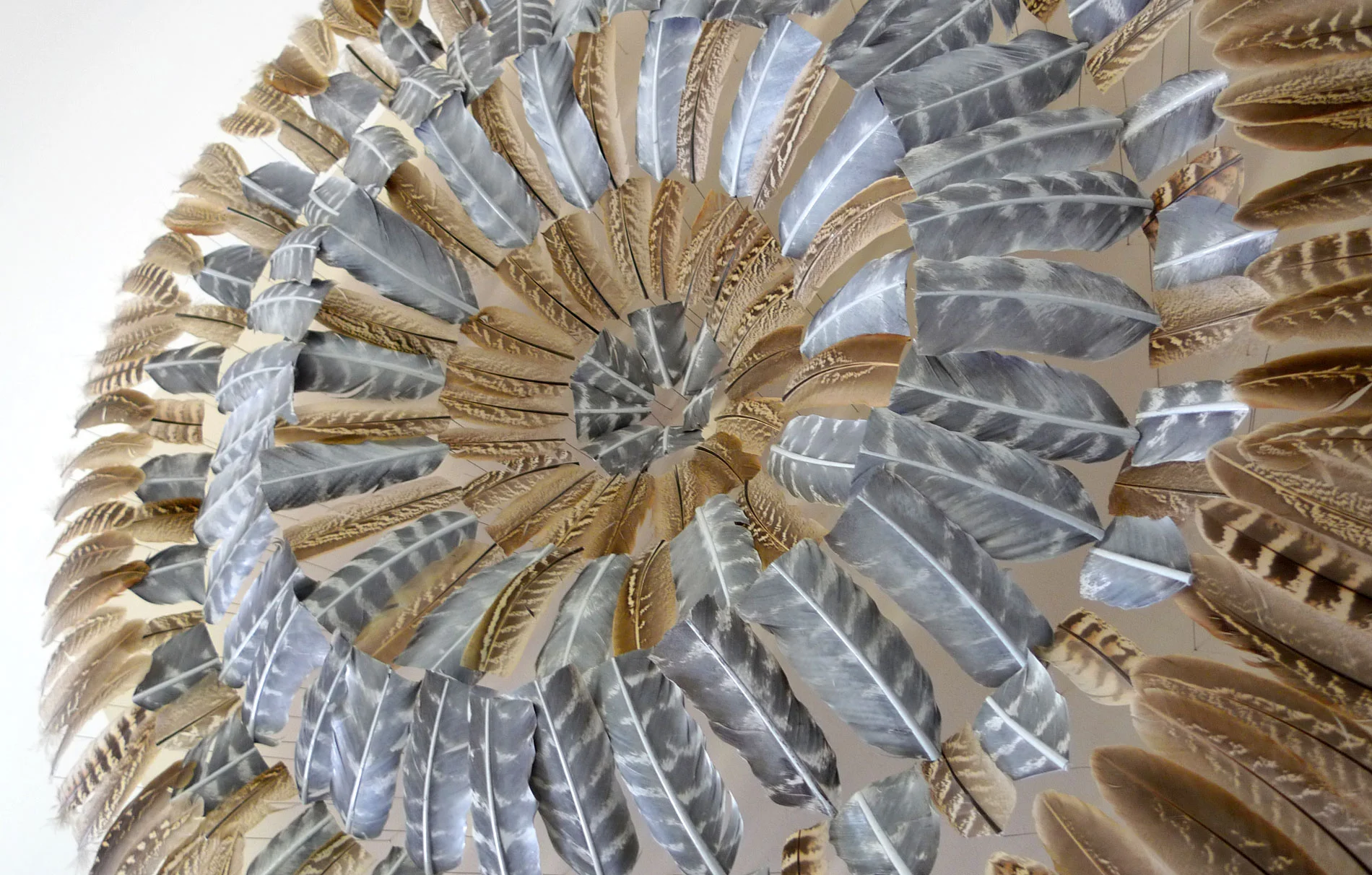 P1020331.jpg