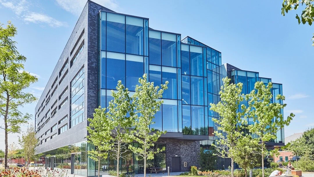 SteamaCo office resized.jpeg