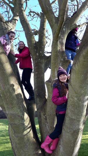 Like Zacchaeus, the team are always searching for a better view...