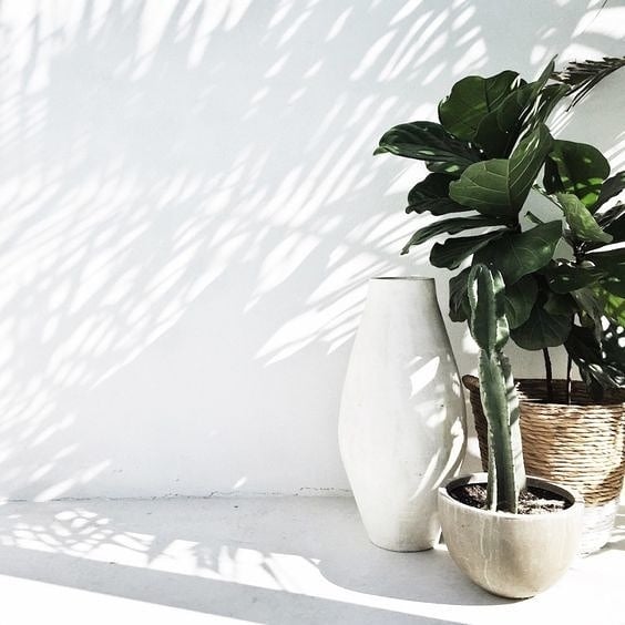 Relaxed outdoor style
.
.
.
.
.
#outdoor #sun #light #shadows #plants #pots #planters #design #style #interiordesign
