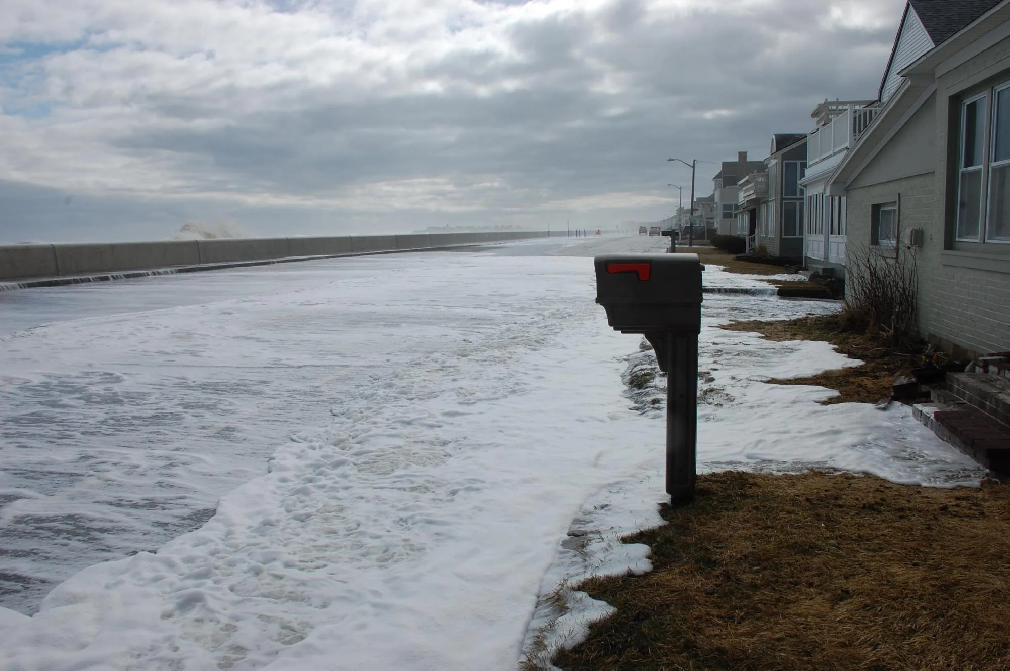 Citizen science in action. Courtesy of New Hampshire Sea Grant.