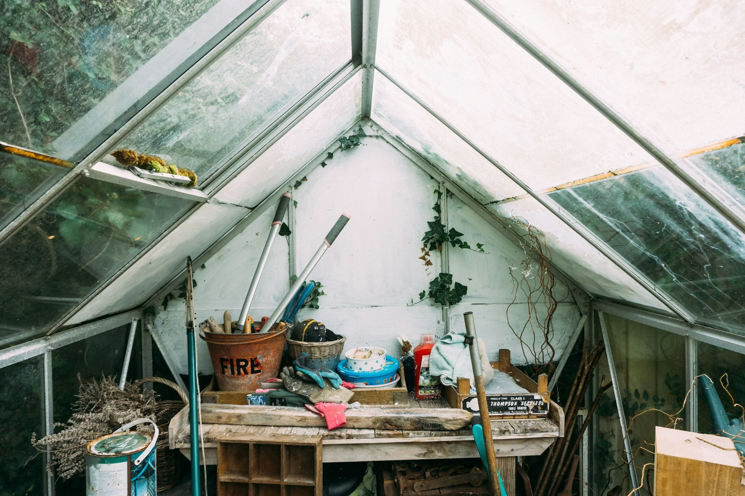 Care is How We Sustain the Fight: Introducing the Grassroots Mutual Mental Healthcare Toolbox