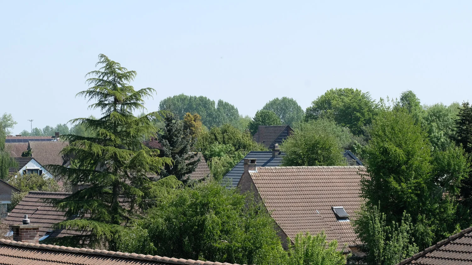 Woonsubsidies in Vlaanderen: 'Wie heeft zal nog meer krijgen, en wel in overvloed'