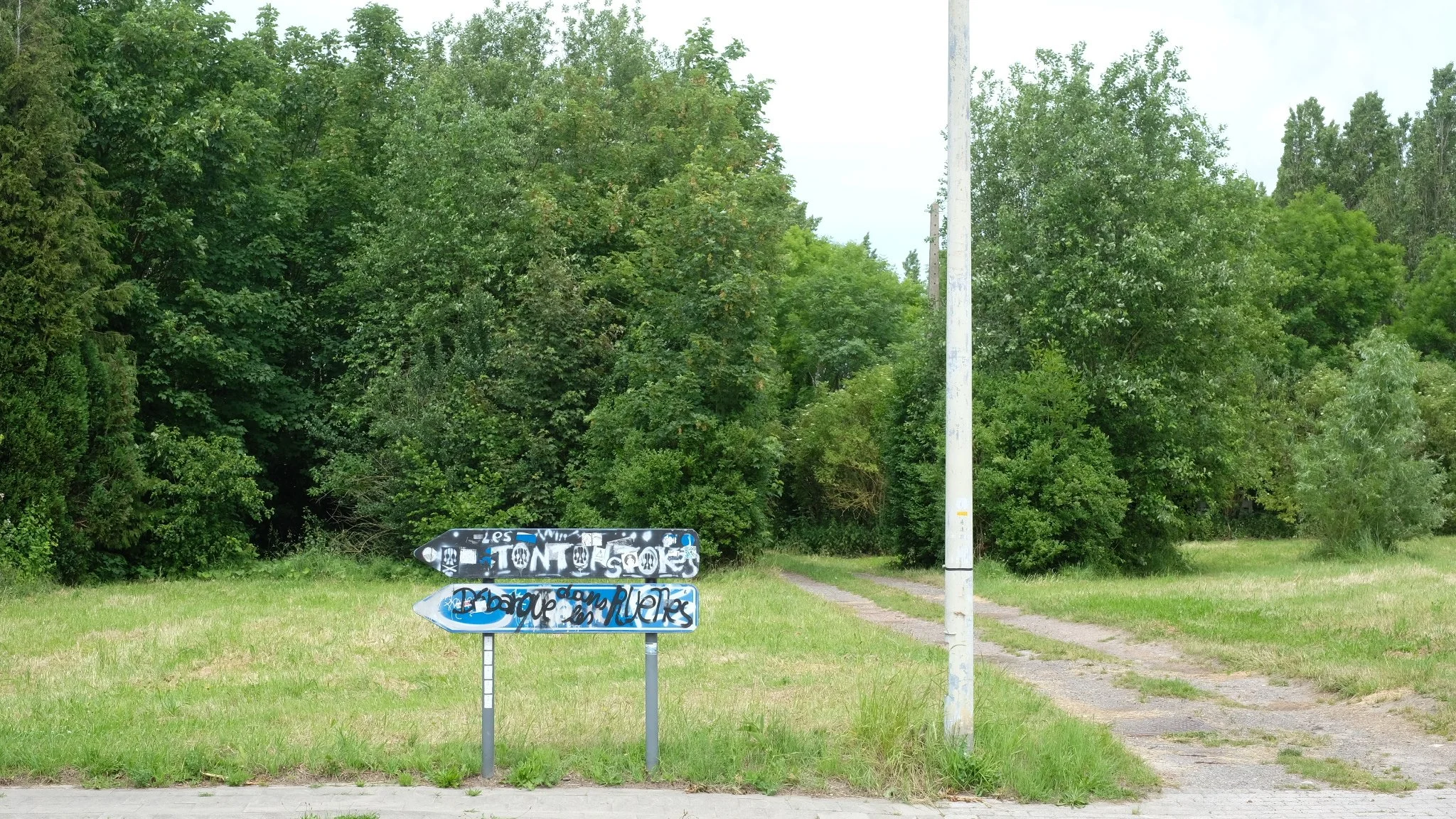 Sporen naar Parijs: transport, openbaar vervoer en de klimaateisen