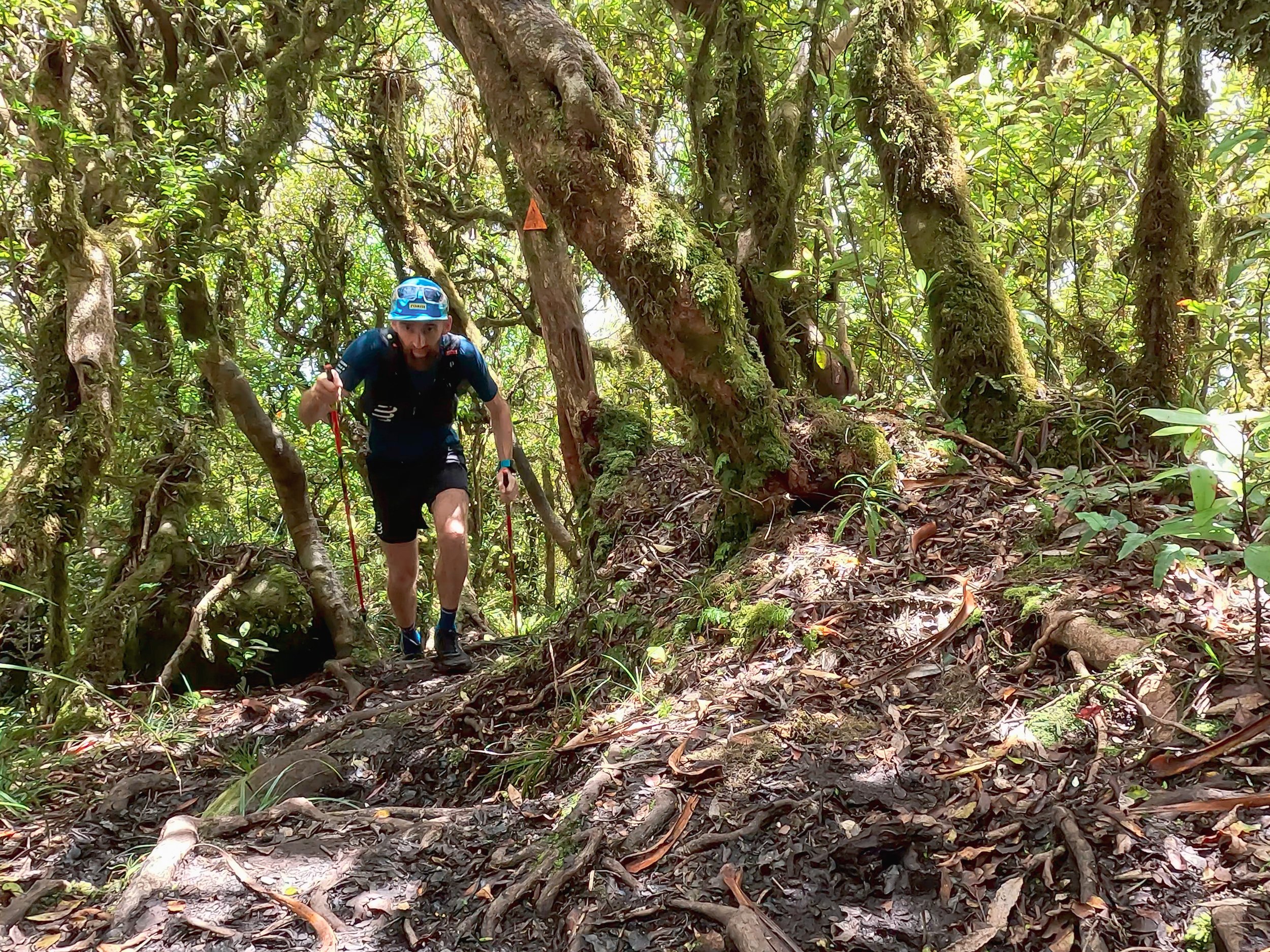 Paul Giblin: The Man Running 3,000 Kilometers Along The Te Araroa Trail in  New Zealand — Pyllon