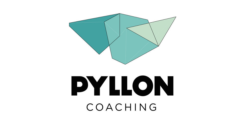 Pyllon_Logo.jpeg