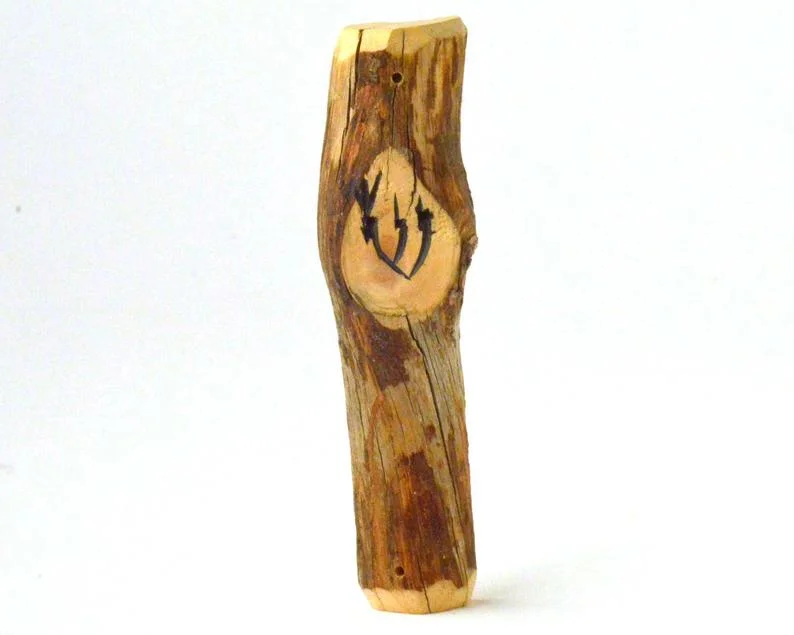 Ponderosa Pine