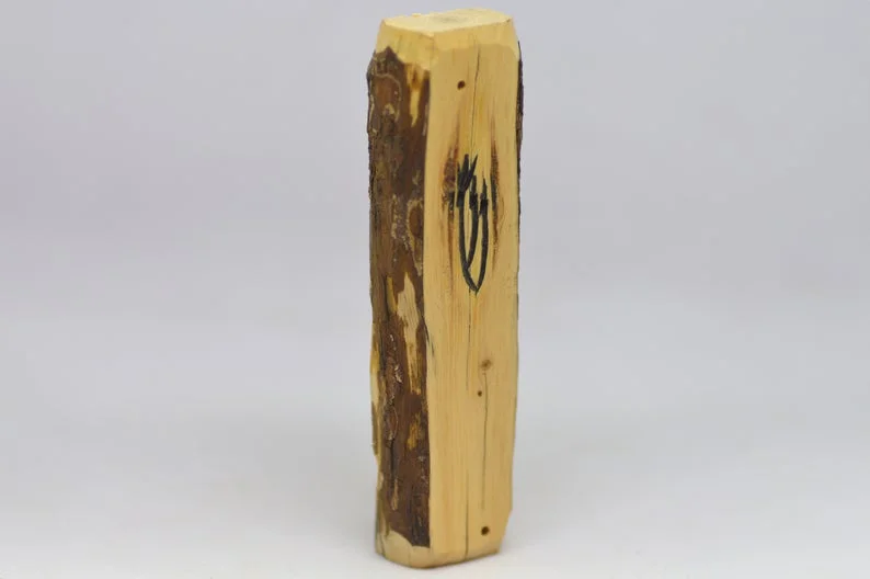 Ponderosa pine