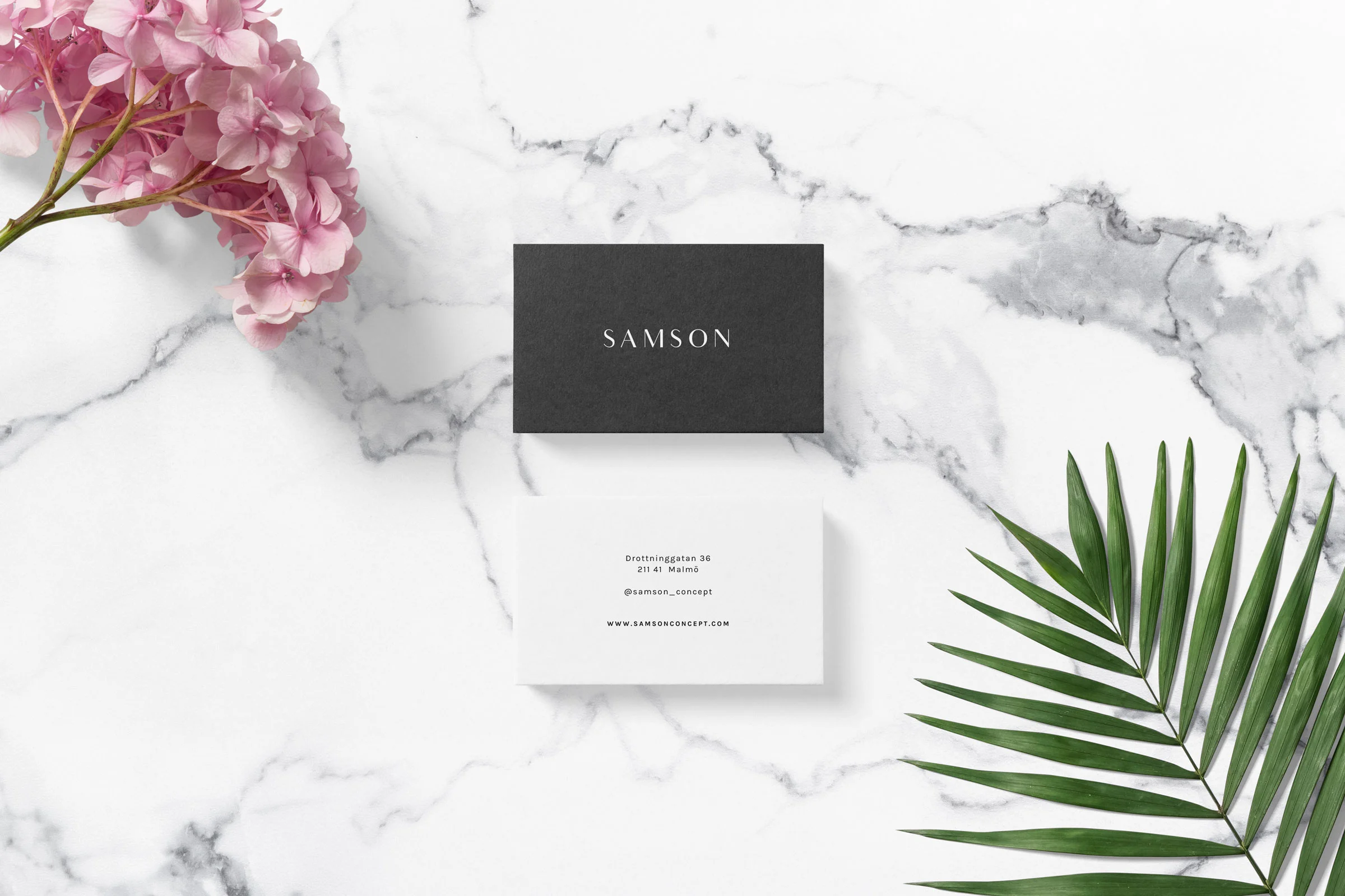 Samson-2.jpg