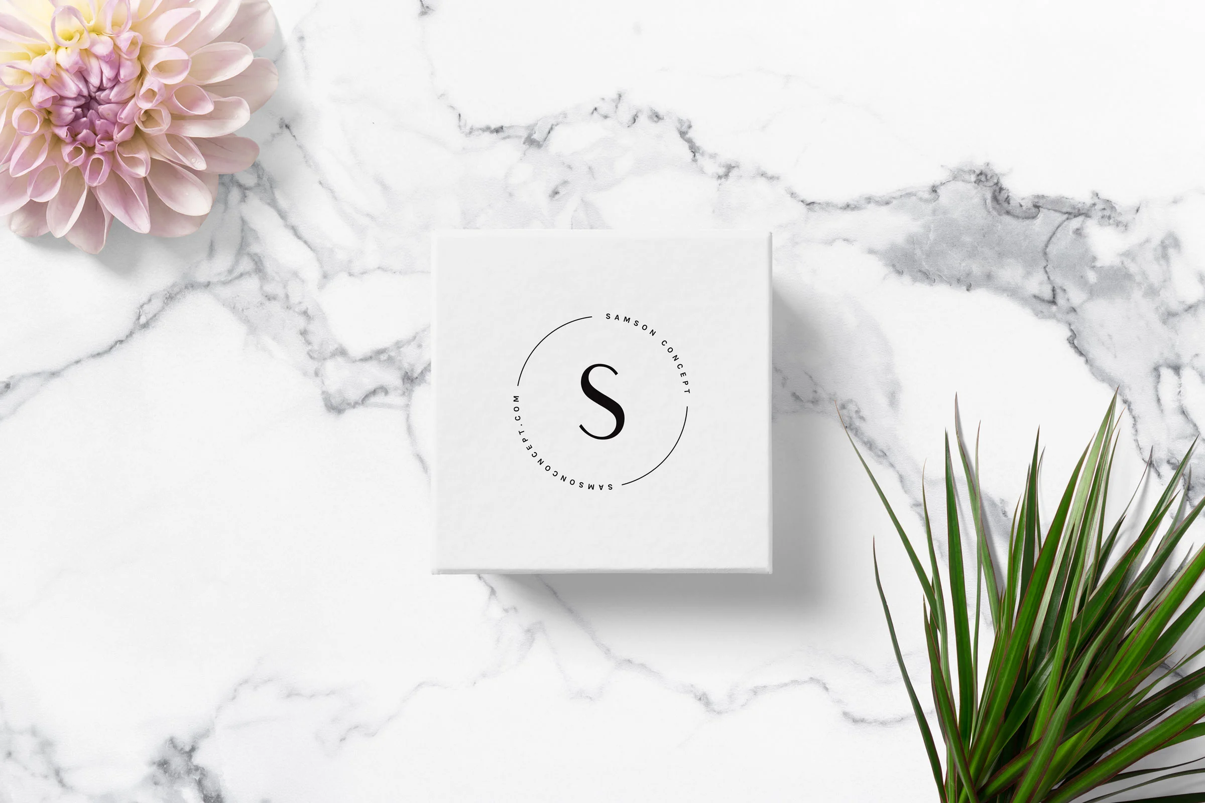 Samson-3.jpg